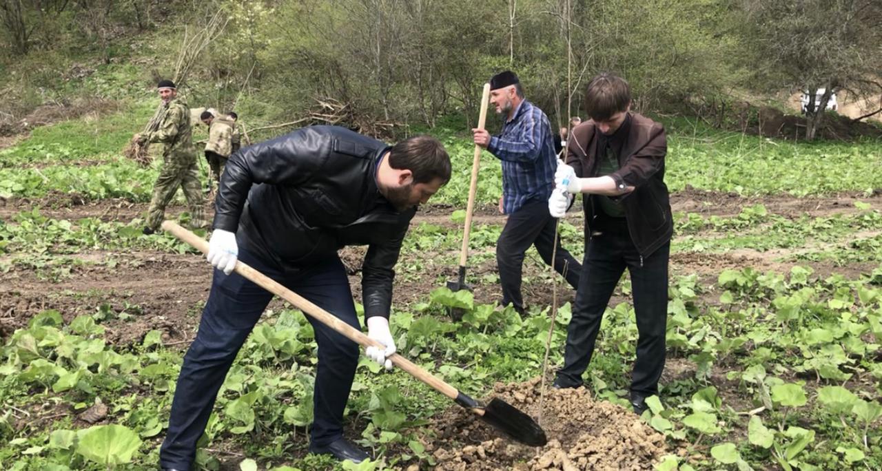 Международная акция «Сад памяти»