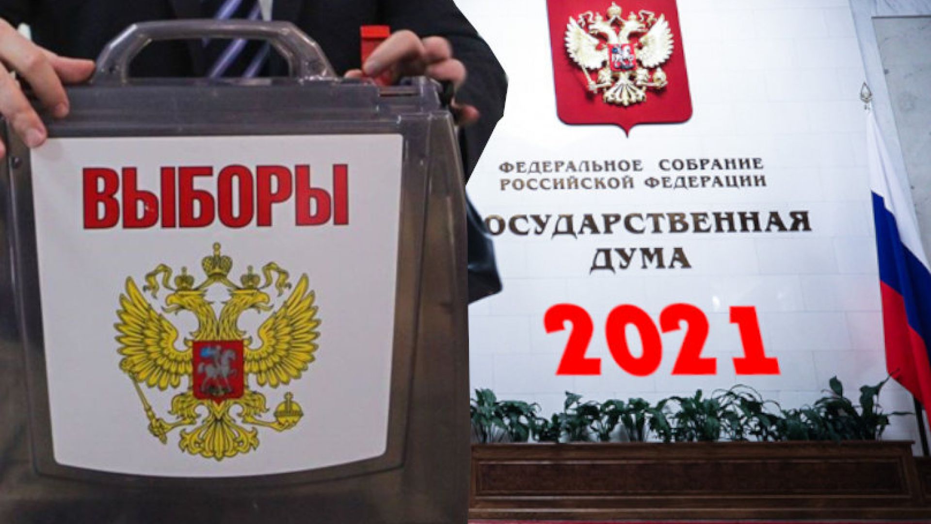 выборы