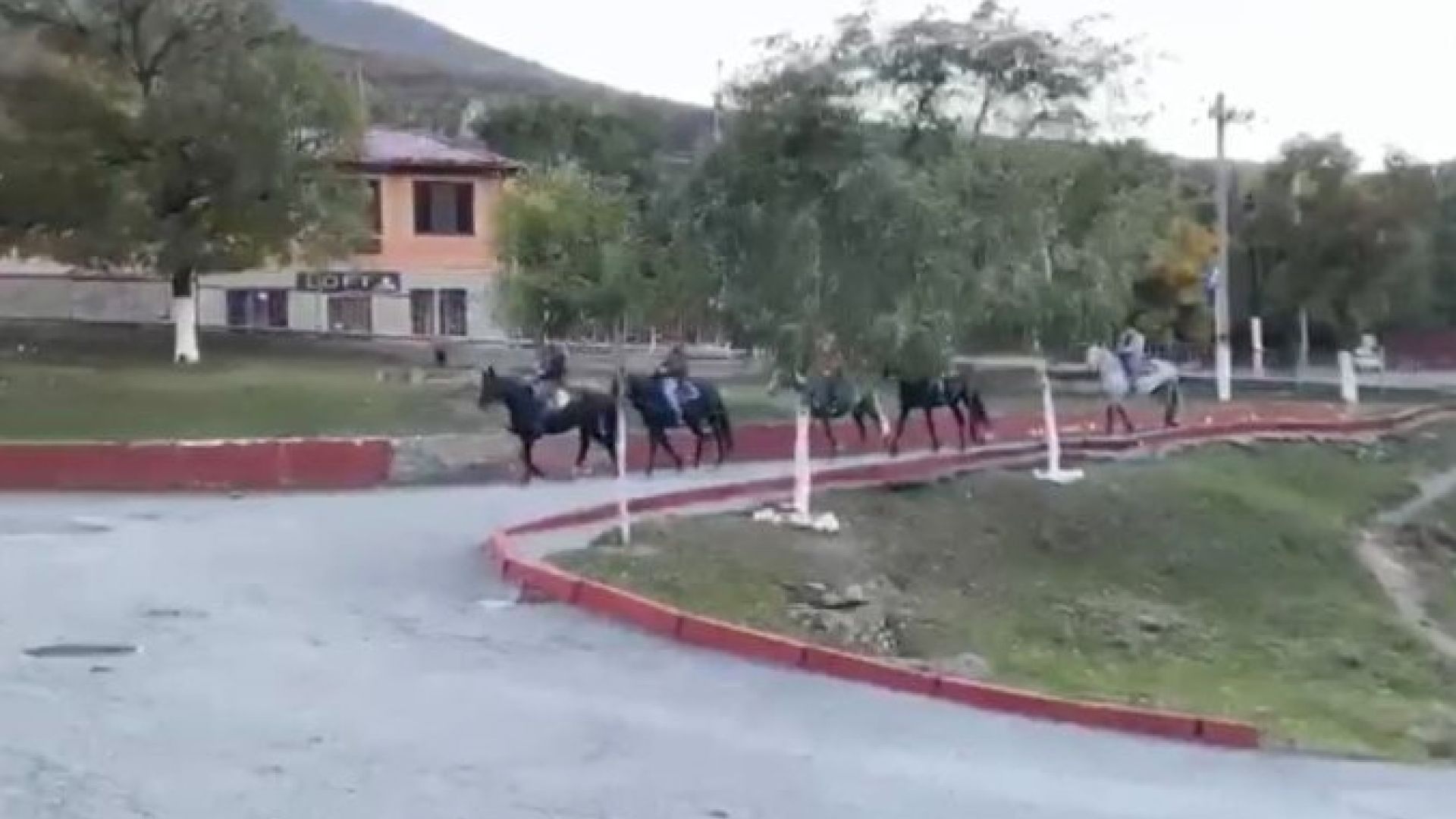выборы
