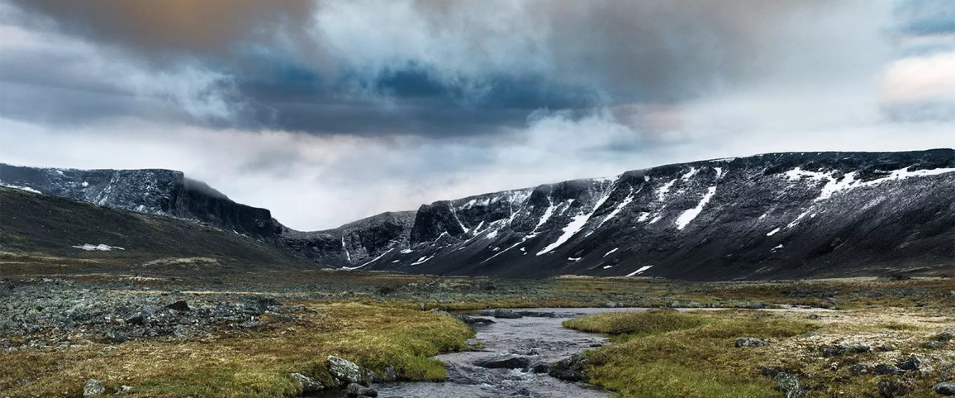 Лето в тундре