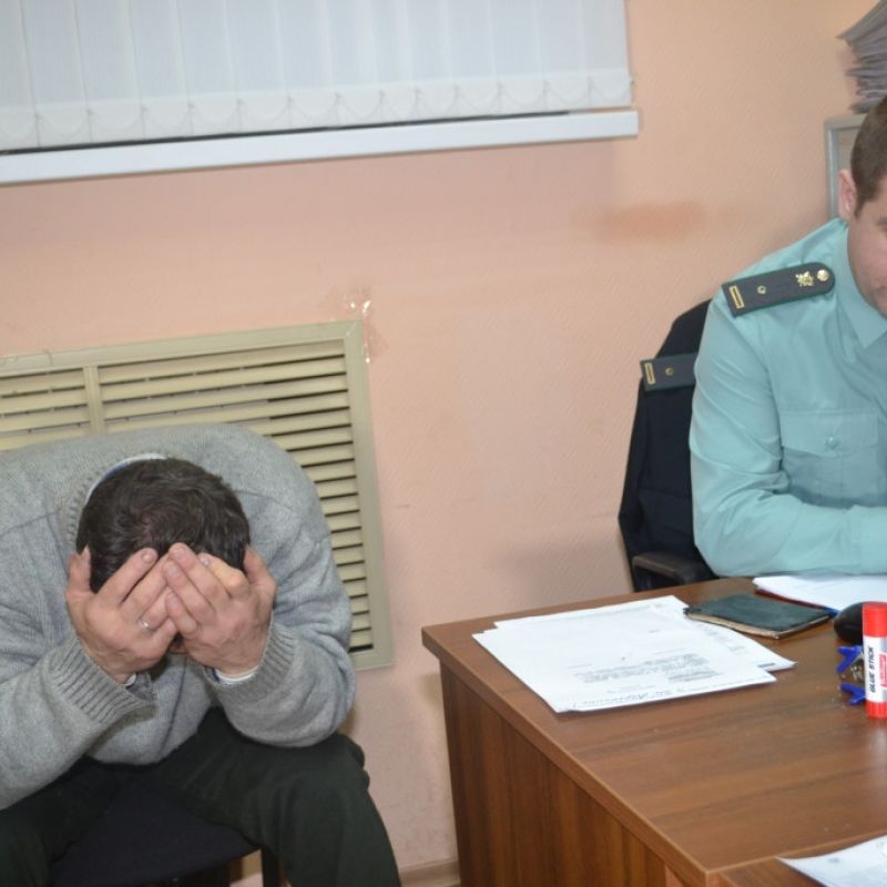 алименты