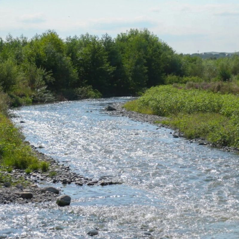 река